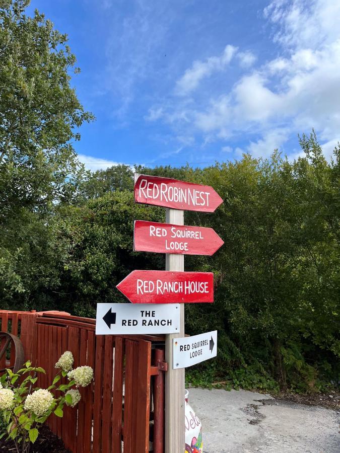 Sallys Cabin Kilcolgan Экстерьер фото